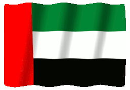 UAE flag badge symbolizing comprehensive company formation services in the United Arab Emirates